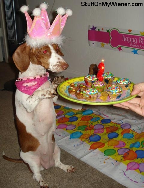 Lilly-bday Lilly's 2nd birthday.