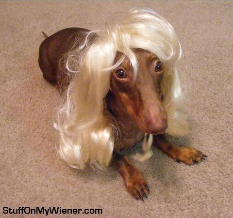 Anya-wig Anya in a wig.