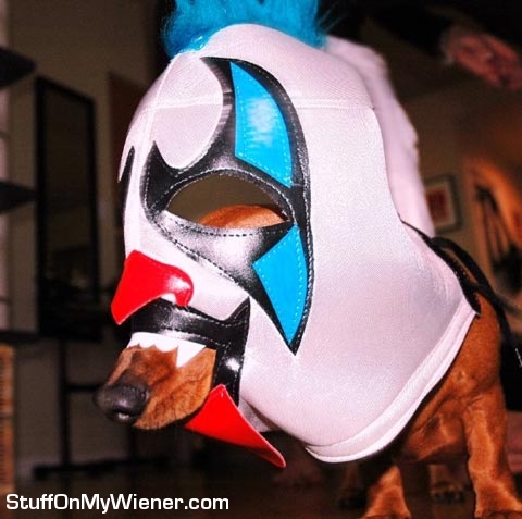 Johnson-Lucha-Libre-mask Johnson in a Lucha libre mask.