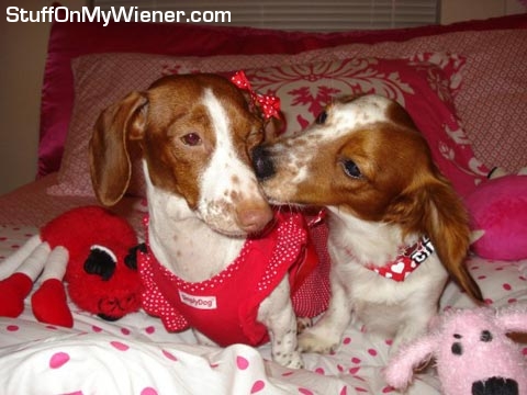 Kody-Lilly-valentine Kody and Lilly on Valentine's day.