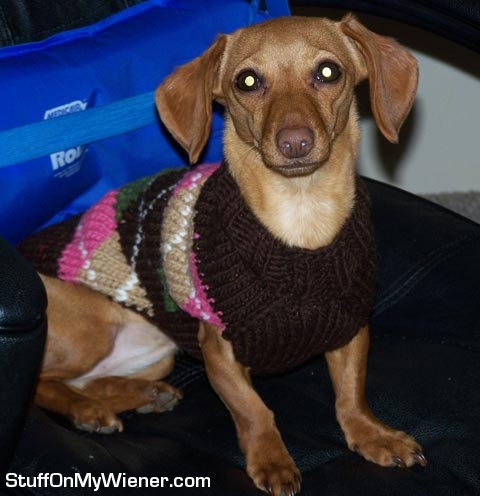 Brandee-Argyle Brandee in an argyle sweater.
