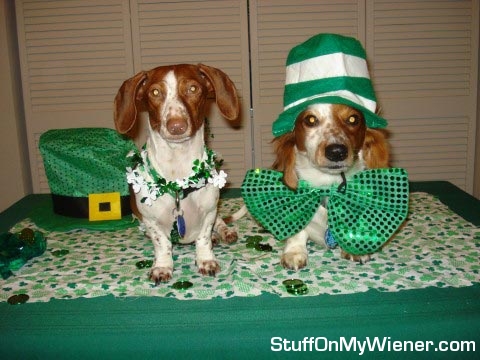 Kody-Lily-stpats Kody and Lilly St. Patrick's outfits.