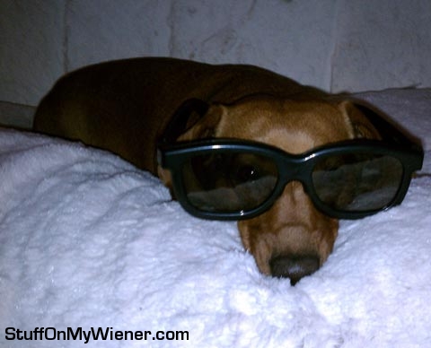 Lily Pad in 3D glasses.