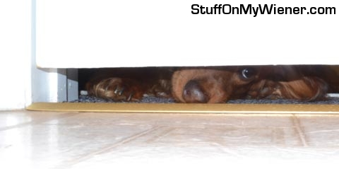 Hank-door Hank peeking under the door.