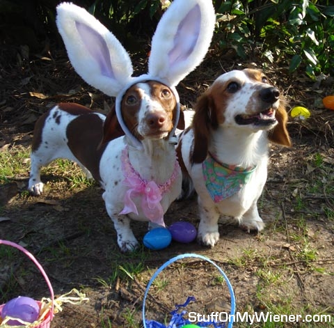 Kod-Lilly-Easter Kody and Lilly Easter egg hunt.