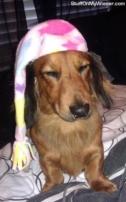 Cole-nightcap Cole in his nightcap.