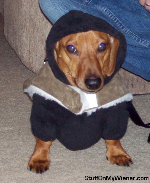 Raskal in her coat.