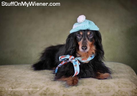 Hallie-hat Hallie in a hat and ribbon.