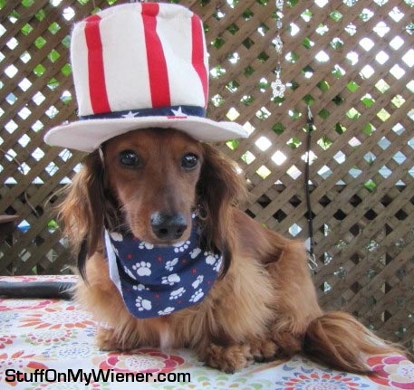 Rocco-hat-stripes Rocco in striped hat and patriotic outfit.