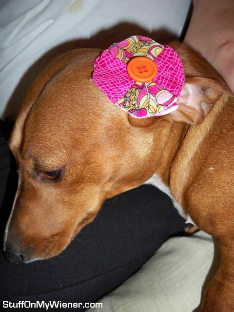 Lyla-button Lyla with a button hair clip.