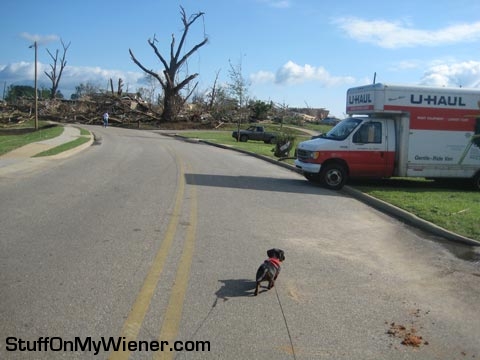 Molly-tornado Molly after tornado in Alabama.