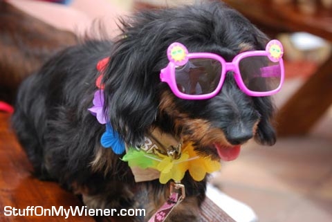 Ellie in glasses and a lei.