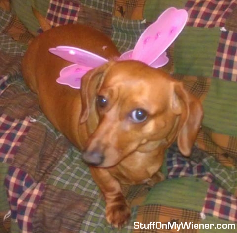 Lily as a fairy.