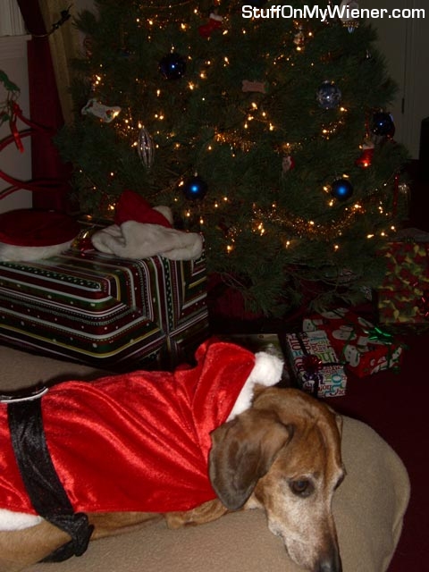 Dave in a Santa suit.