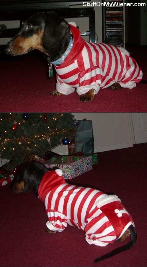Sam-xmas Sam in his Christmas pj's.