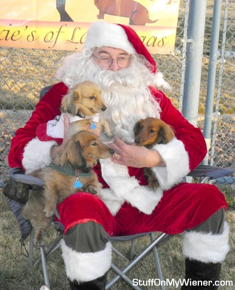 Schatzi, Savannah, and Brandee with Santa.