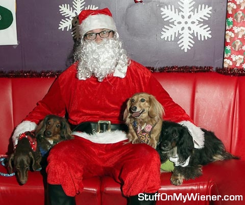 Swift, Kool, Amber, and Tag with Santa.