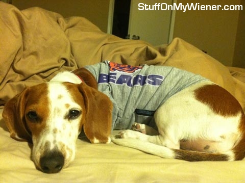 Bailey-shirt Bailey in a football shirt.