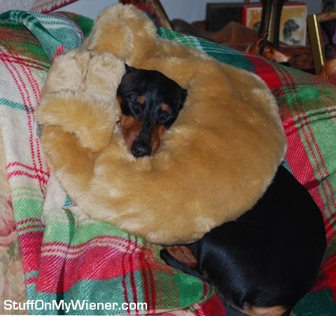 Gigi-hugs Gigi with a hug pillow.