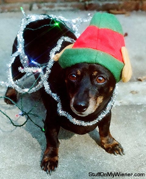 Gretel as an elf.