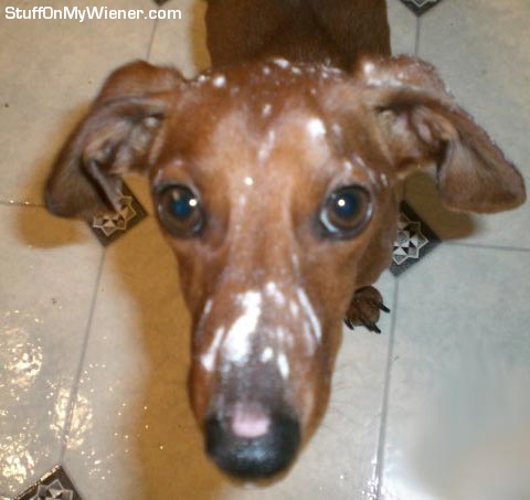 Levi with flour on his face.