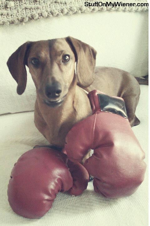 Owen as Mohamed Ali