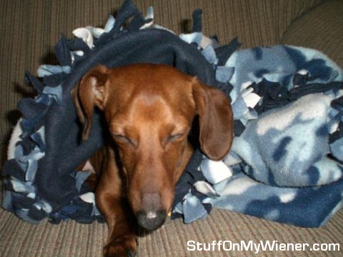 Levi resting his eyes under a blanket.