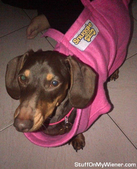 Chloe models her Snuggie.