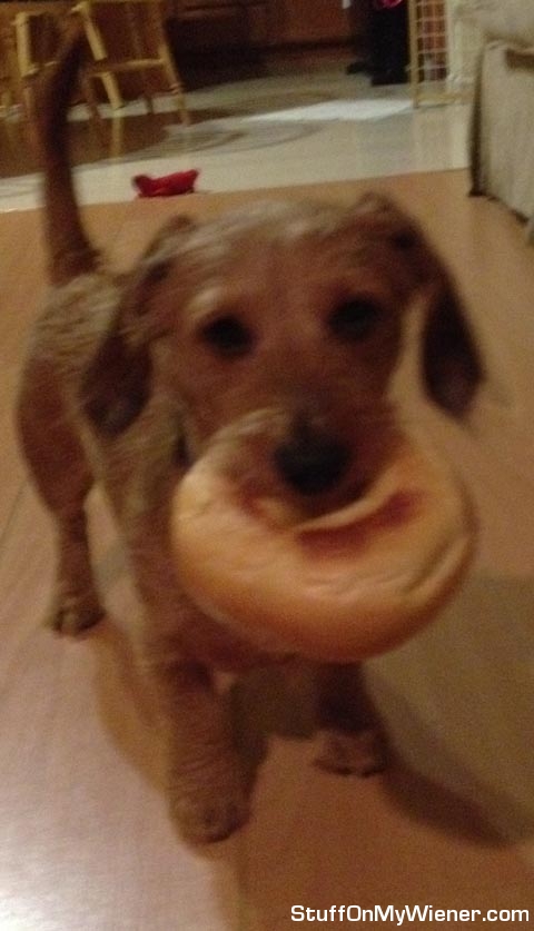 Pickles with a stolen bagel.