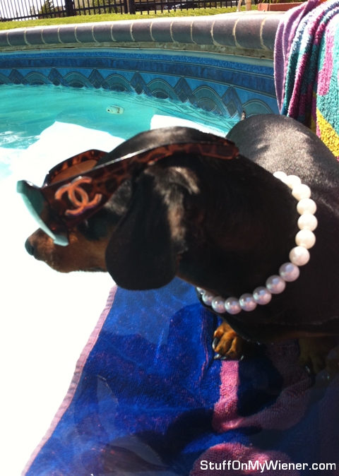 Cher-pool Cher in her Chanel sunglasses in the pool.