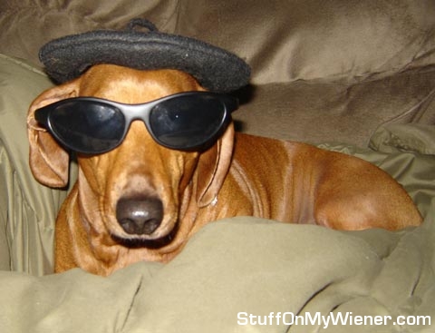 Bailey-glasses-hat Bailey in a hat and glasses