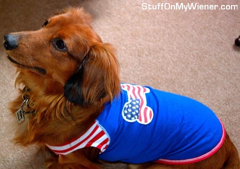 Hank in a stars and stripes shirt.