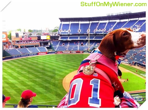 Lily in a baseball jersey.