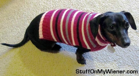 Athena-sweater Athena in her pink sweater.