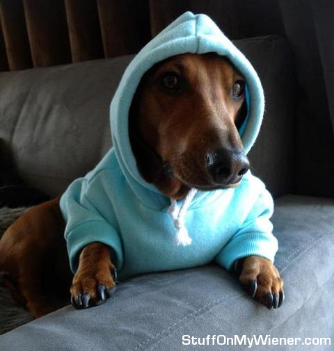 Druss in a hoodie.