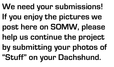 We need your submissions.