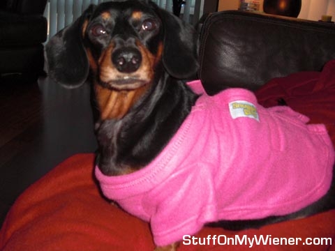 Coco-snuggie Coco in a snuggie.