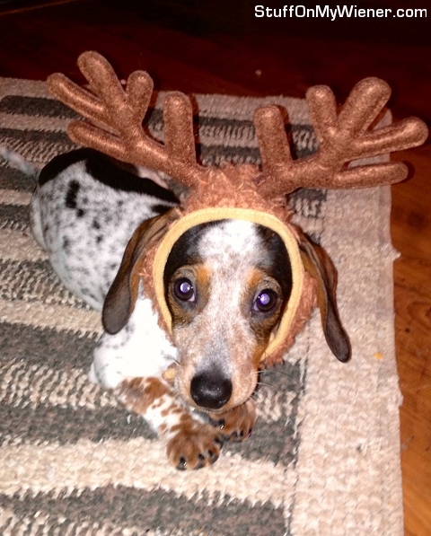 Smuckers-reindeer Smuckers wearing reindeer antlers.