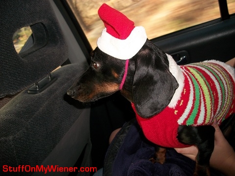 Zoe in Christmas hat and sweater.