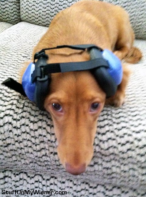 Champ-headset Champ with ear protection headset.