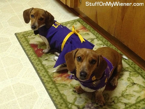 Sadie-Penny-LSU-cheerleaders Sadie and Penny dressed as LSU cheerleaders.