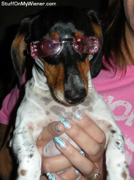 Squeak-doggles Squeak in doggles.