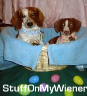 Kody-Lilly-Easter-2012