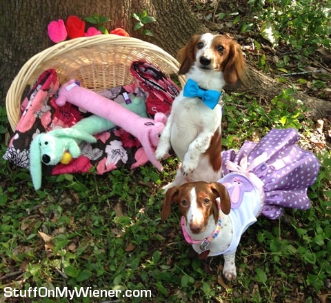 Kody-Lilly-Easter-2013-1