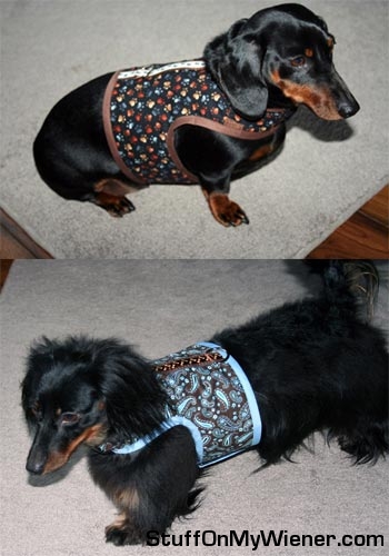 Oscar and Boobalina in vests