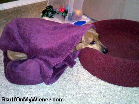 Pebbles in 2 beds.
