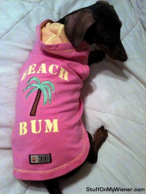 Anya the beach bum.