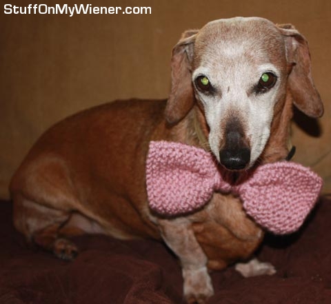 Beans in a bow tie.