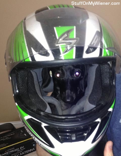 Elle in a helmet.