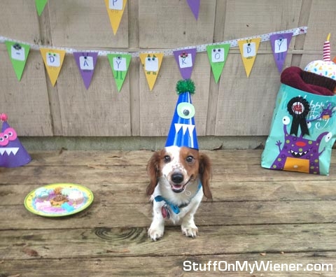 Kody with birthday hat.